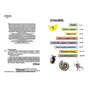 Insects. A Brief Illustrated Guide