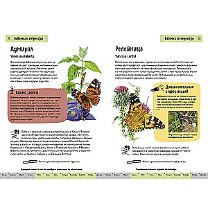 Insects. A Brief Illustrated Guide