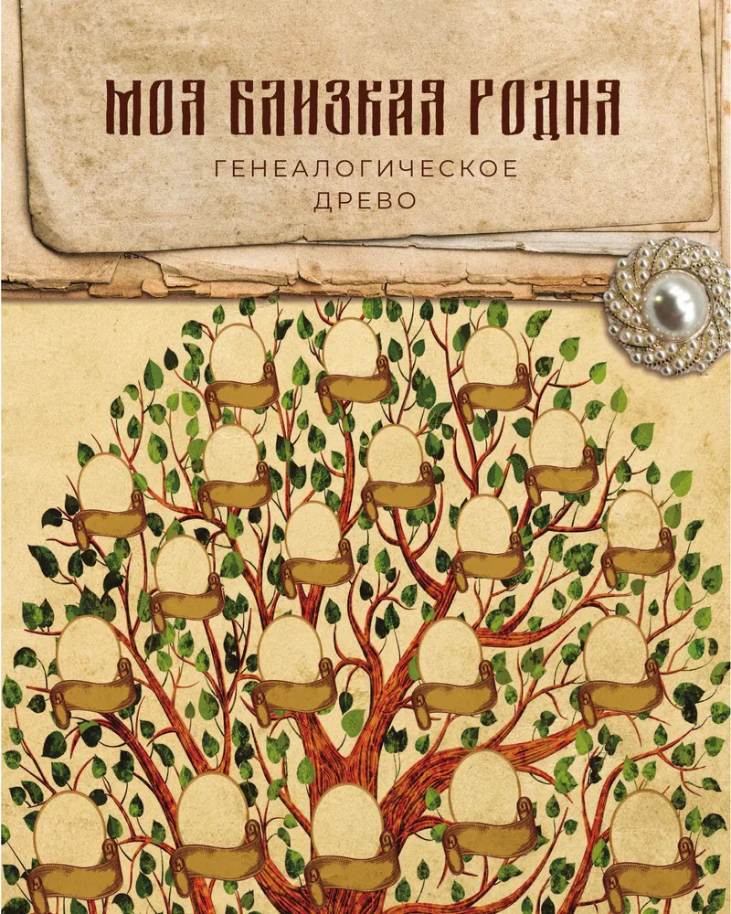 The Book of Our Family History