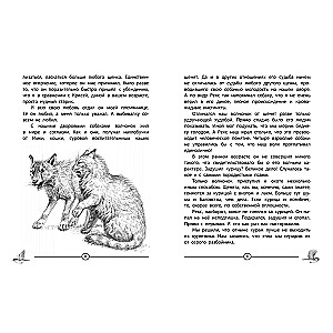 Tame People (Stories)
