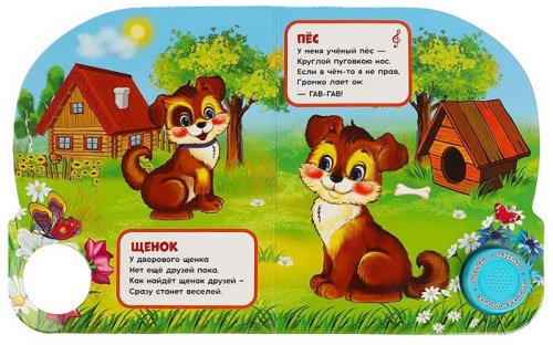 Książka Hau-hau
