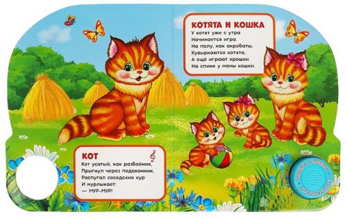 Książka Hau-hau