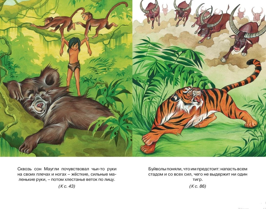 Mowgli
