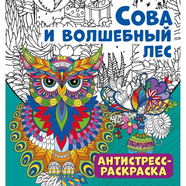 Anti-stress Coloring Book. Owl and the Magic Forest