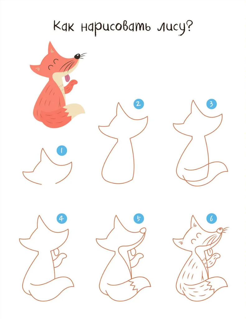 Drawing Step by Step. In the Forest