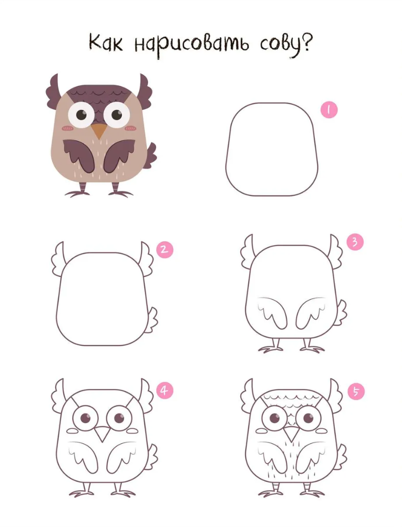 Drawing Step by Step. In the Forest