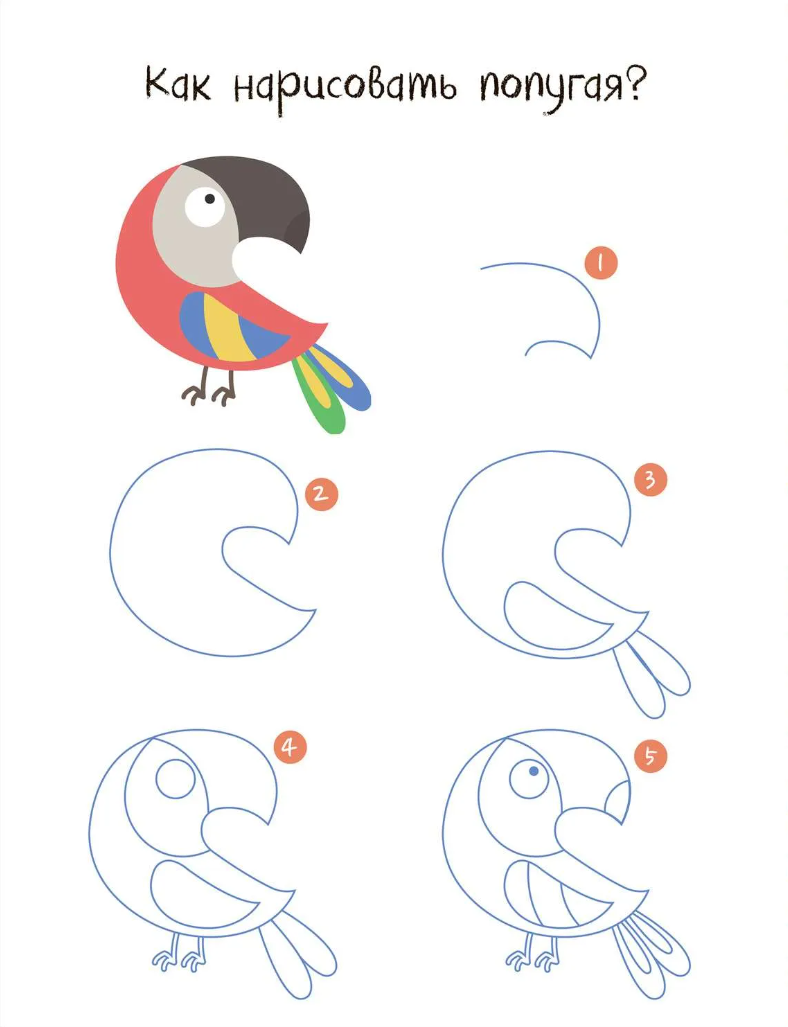 Draw Step by Step. At the Zoo