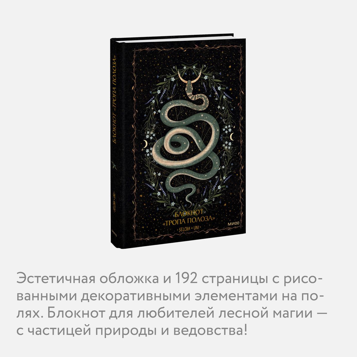 Notes „Ścieżka węża”