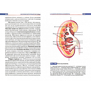 Atlas of Human Anatomy. A Manual for Students of Secondary Vocational Education Institutions