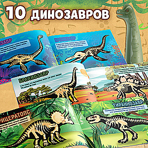 Sticker Book Dinosaurs. Whose Skeleton Is This?