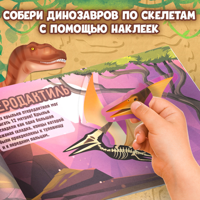 Sticker Book Dinosaurs. Whose Skeleton Is This?