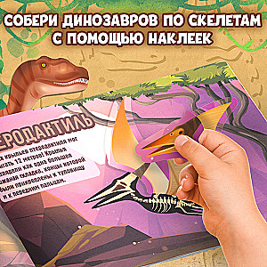 Sticker Book Dinosaurs. Whose Skeleton Is This?