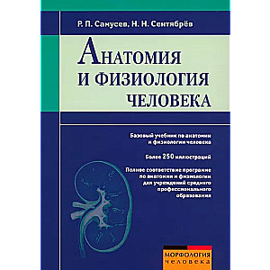 Anatomy and Physiology of the Human Body