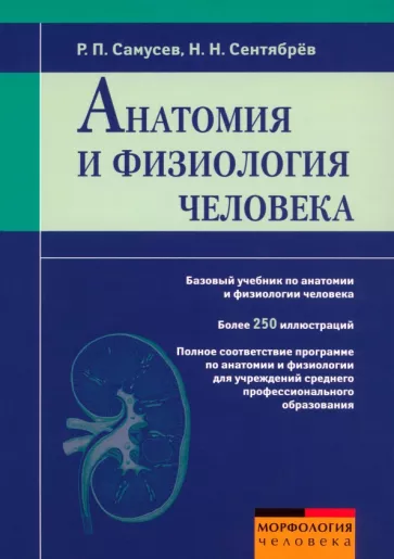 Anatomy and Physiology of the Human Body