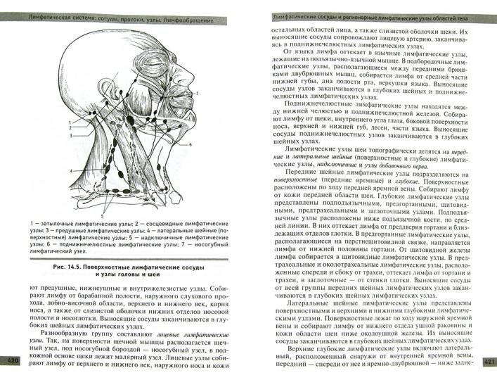 Anatomy and Physiology of the Human Body