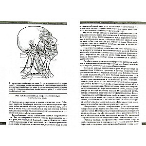 Anatomy and Physiology of the Human Body
