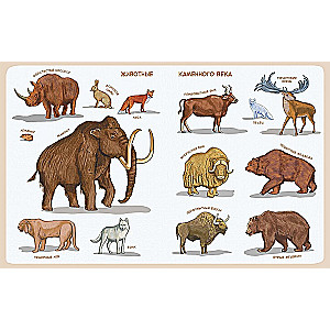 Stone Age. Children's Encyclopedia