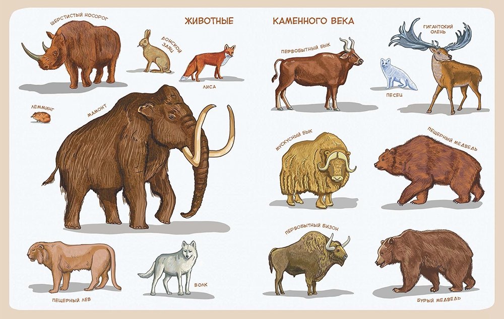 Stone Age. Children's Encyclopedia