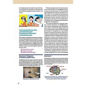 Brain Trainer for 60 Days. Develop Attention, Memory, Logic, and Intelligence at Any Age!