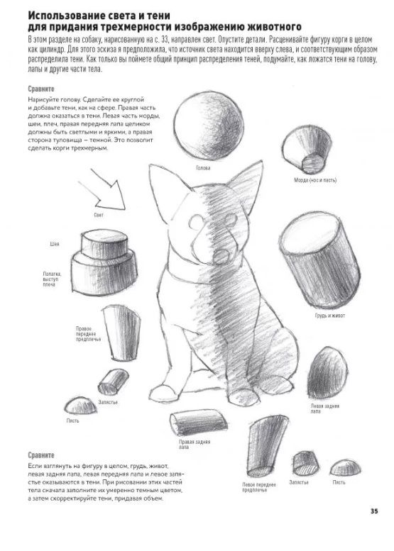 Animal Portraits. Drawing in Japanese Author's Technique