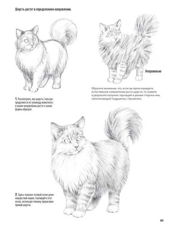 Animal Portraits. Drawing in Japanese Author's Technique