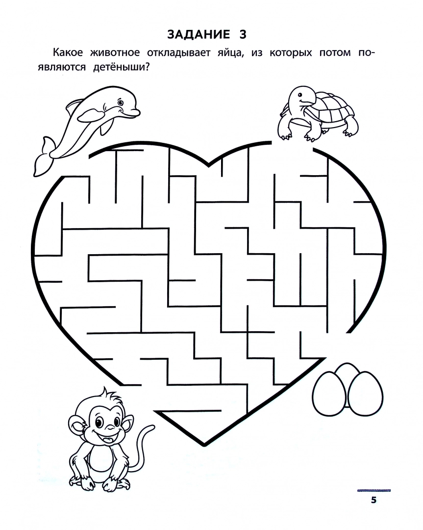 Maze Puzzles: Developing Visual-Motor Coordination