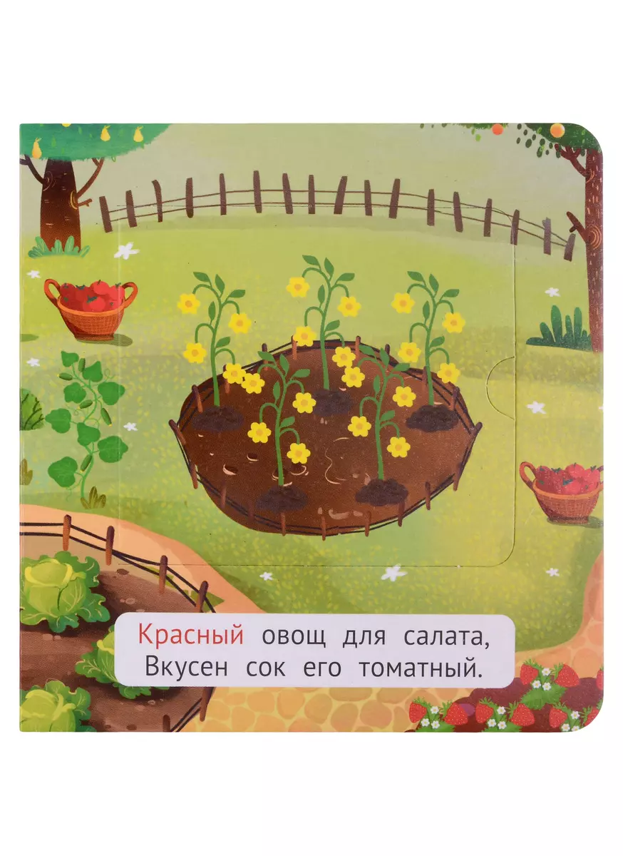 Colors. A Little Book with Windows