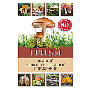 Mushrooms. A brief illustrated guide