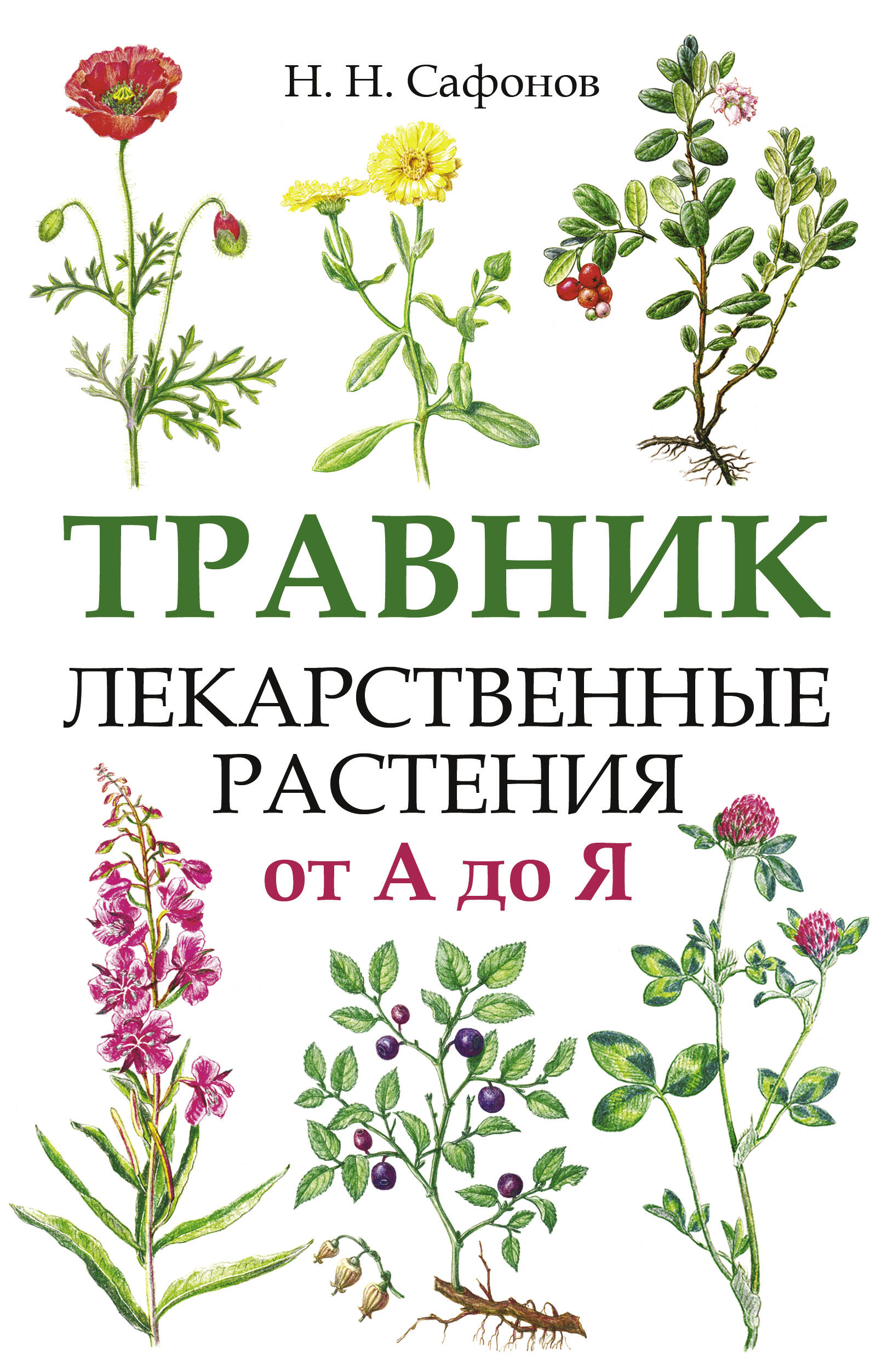 Herbalist. Medicinal Plants from A to Z
