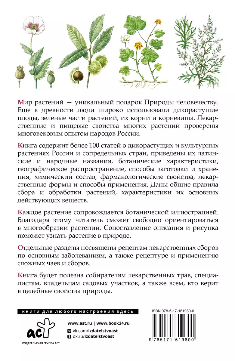 Herbalist. Medicinal Plants from A to Z