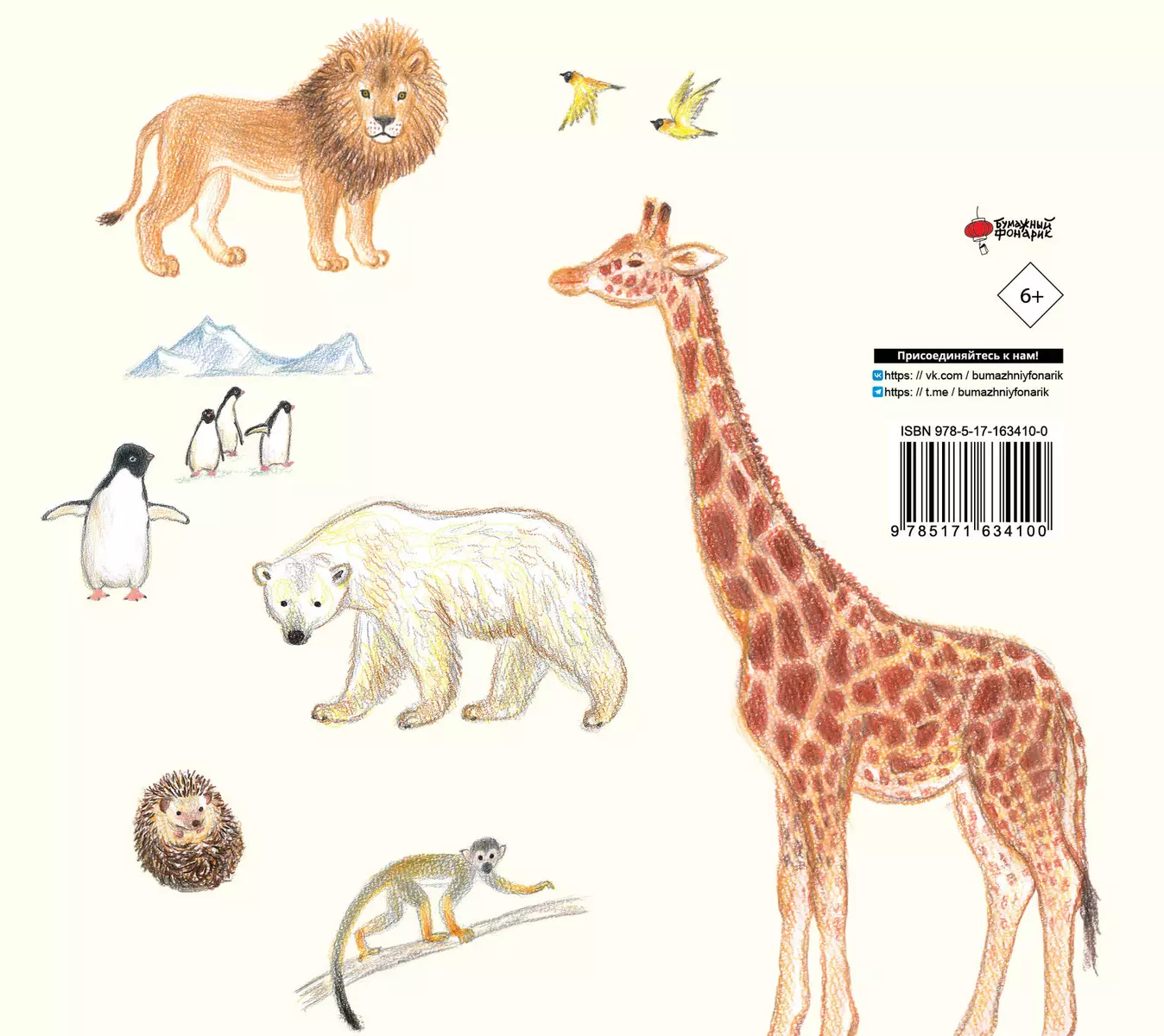 Drawing Cute Animals