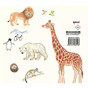 Drawing Cute Animals