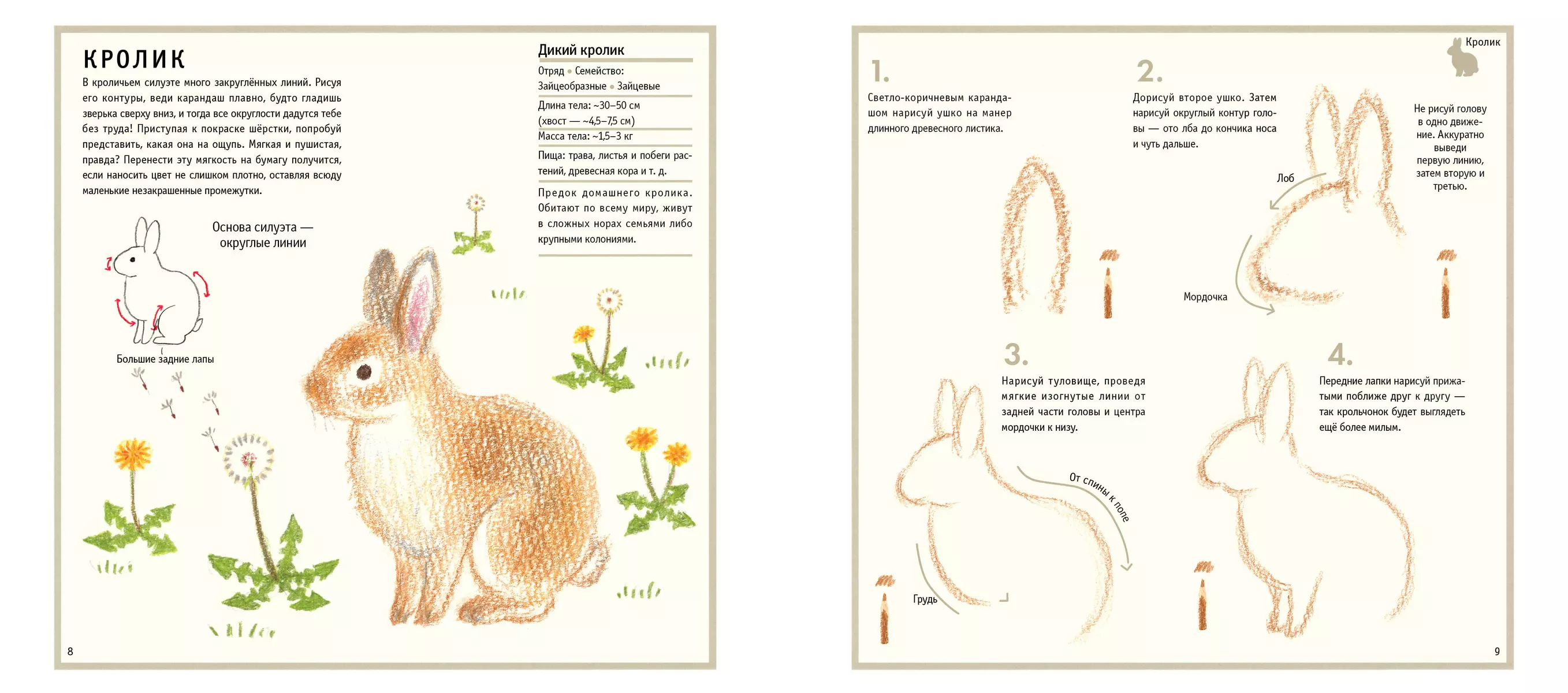 Drawing Cute Animals