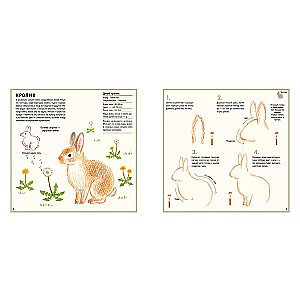 Drawing Cute Animals