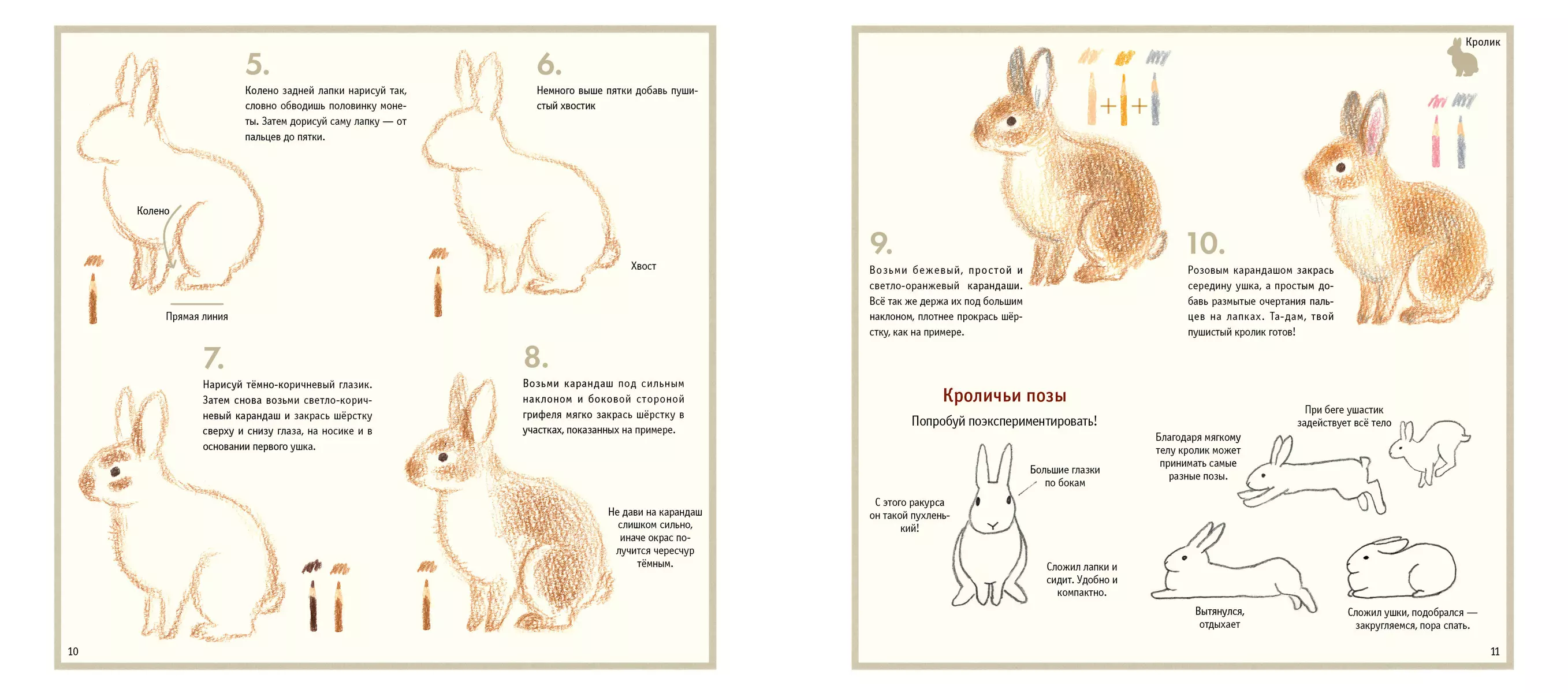 Drawing Cute Animals