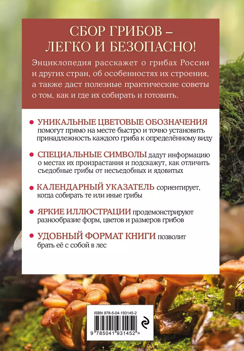 Mushrooms. A brief illustrated guide