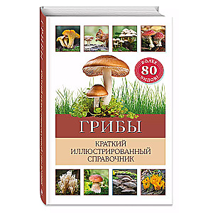 Mushrooms. A brief illustrated guide