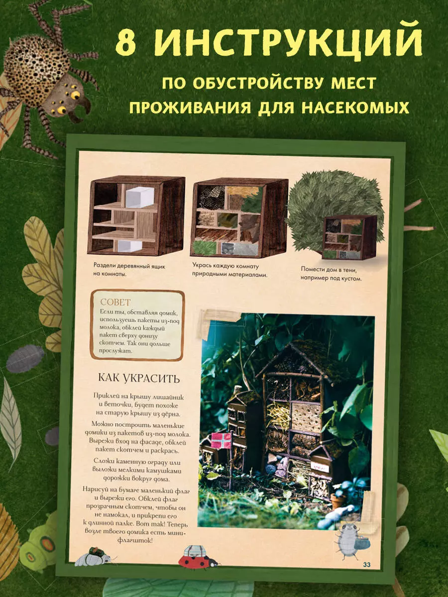 Insect City