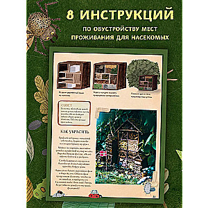 Insect City