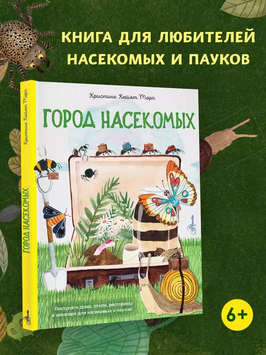 Insect City
