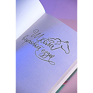 The Enchanted Melody