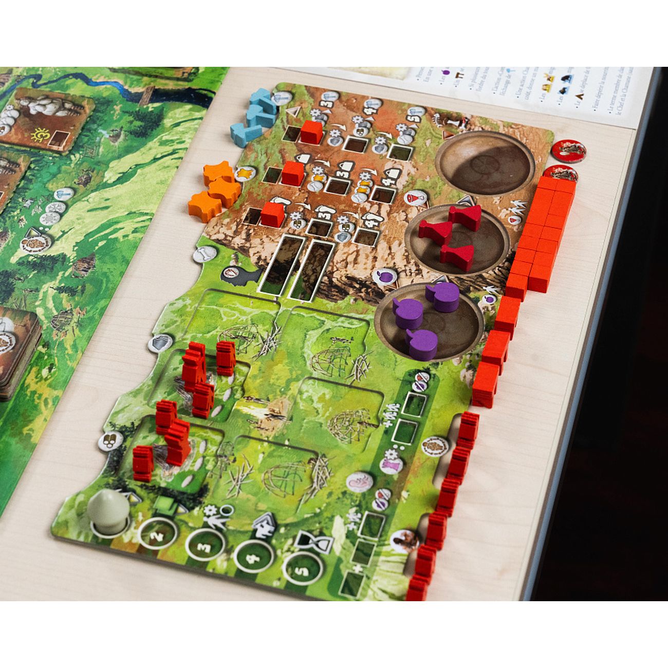 Stone Age Board Game