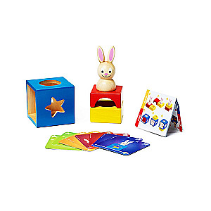 Logical Game Shy Rabbit
