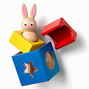 Logical Game Shy Rabbit