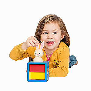 Logical Game Shy Rabbit