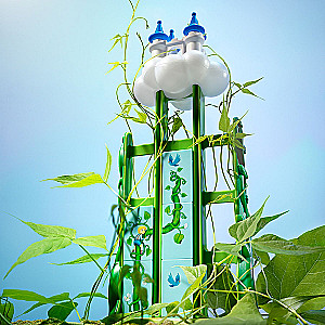 Logical game Jack and the Beanstalk
