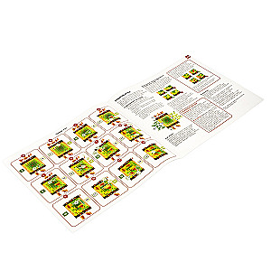 Logical Game Dragons Inferno