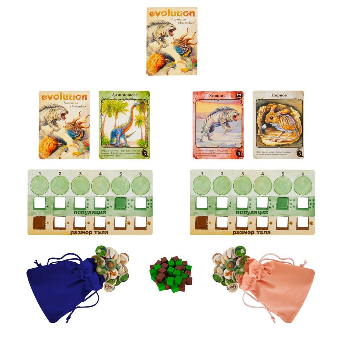 Evolution: Natural Selection Board Game