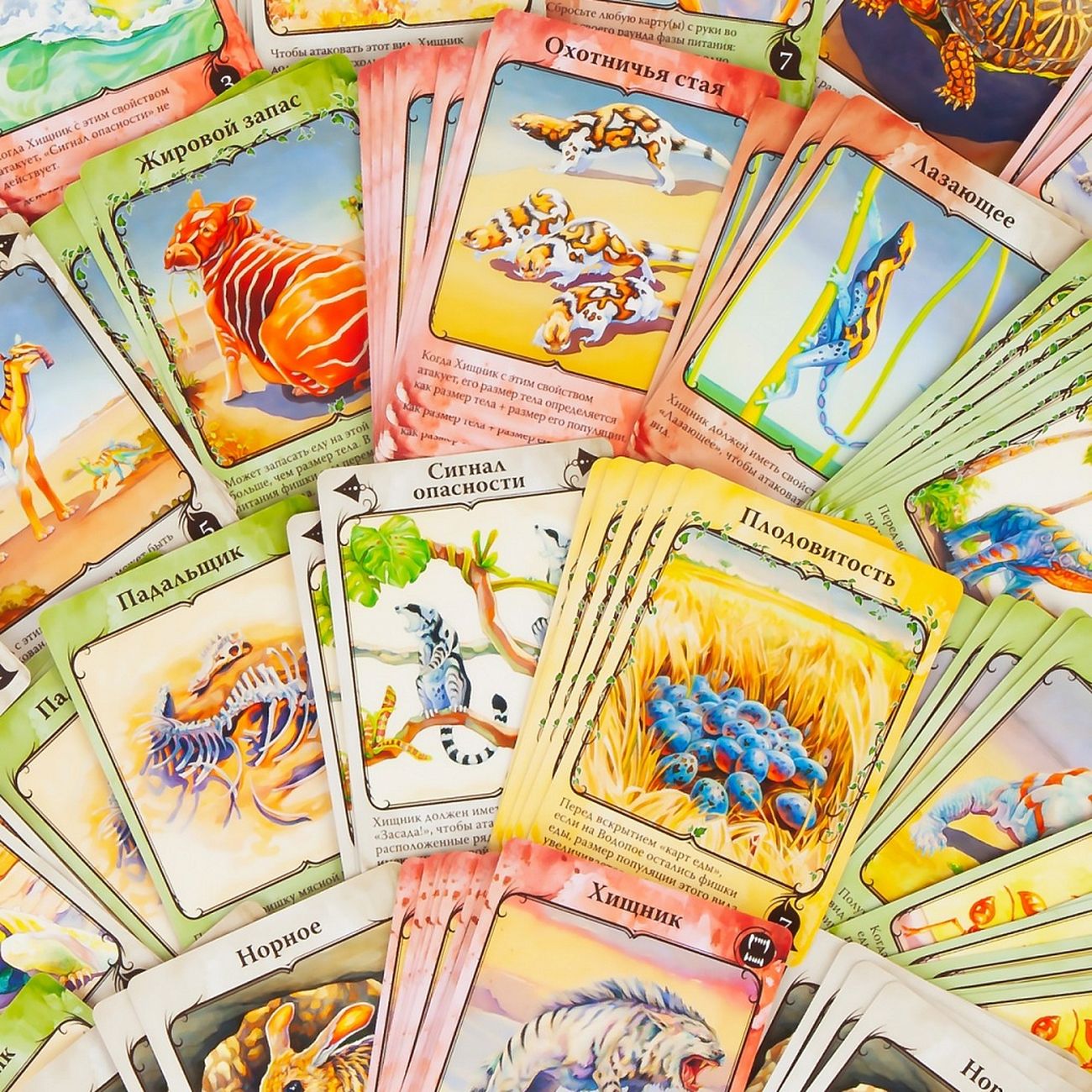 Evolution: Natural Selection Board Game