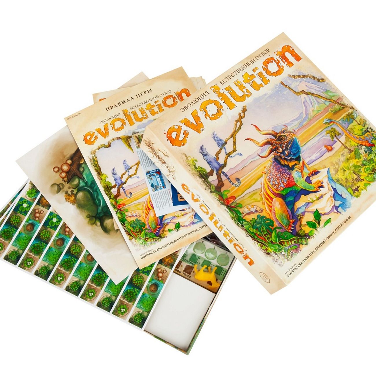 Evolution: Natural Selection Board Game